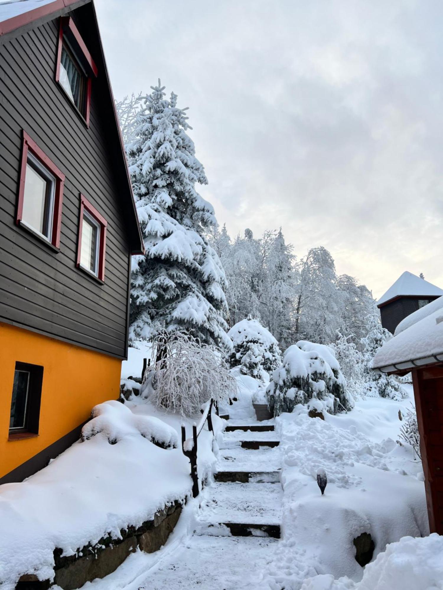 Haus Tadeus Lägenhet Altenberg  Exteriör bild